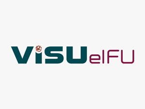 ViSU-eIFU